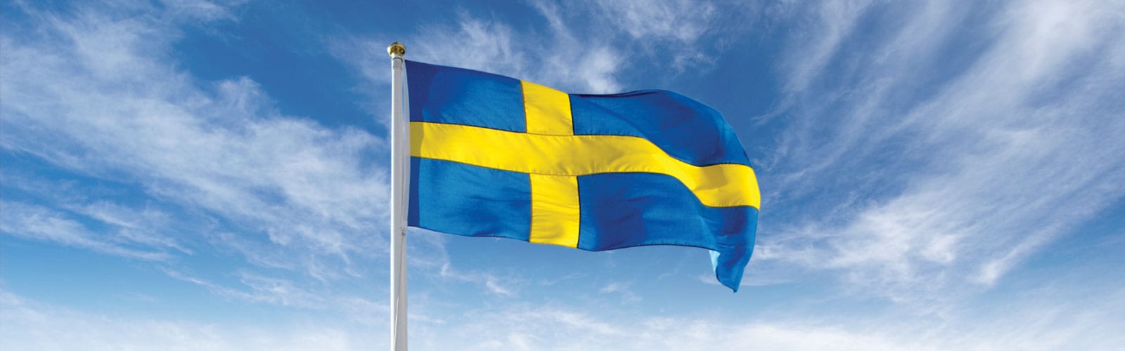 flagga sweden  svensk flagga  flag sweden  sweden flag  sweden flagga  flagga svensk  علم السويد  علم سويد (11)