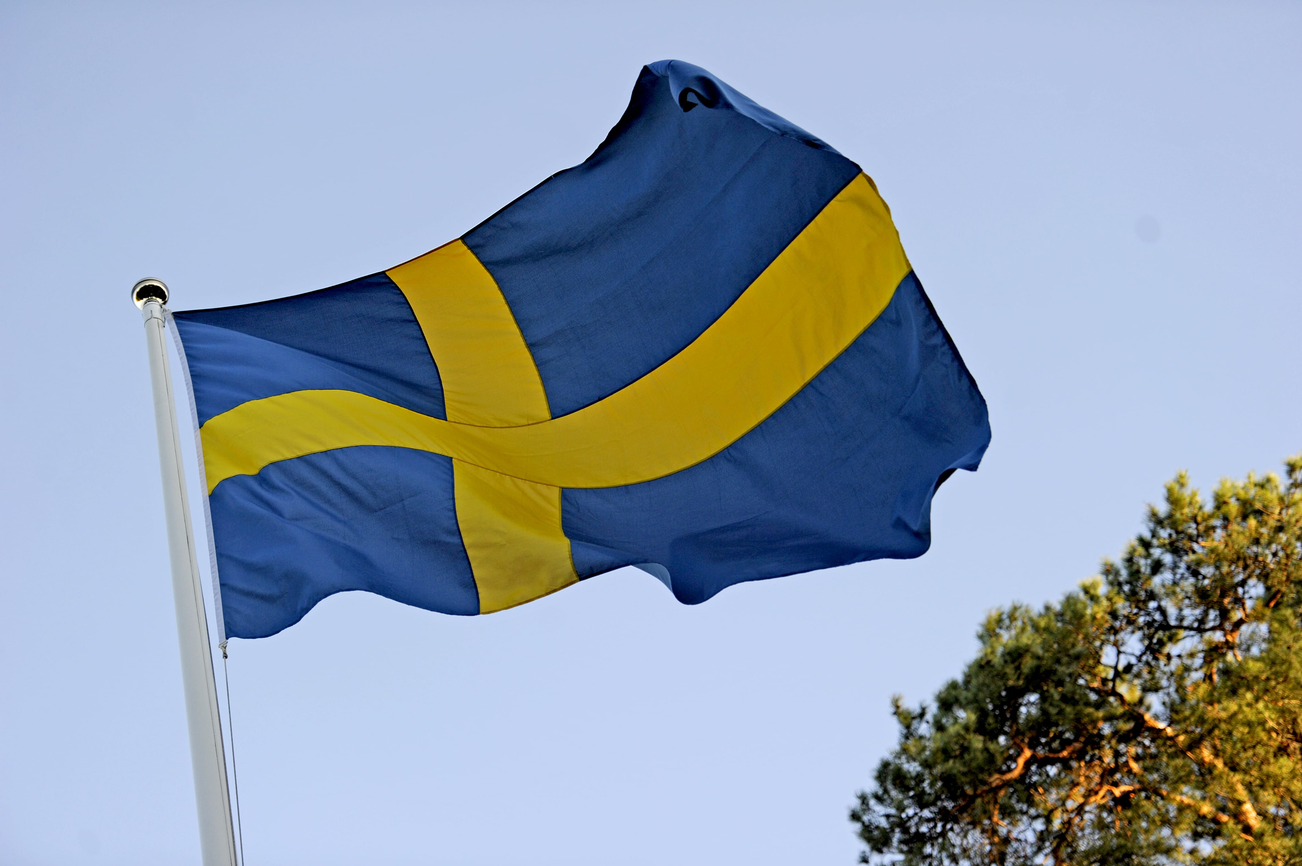 flagga sweden  svensk flagga  flag sweden  sweden flag  sweden flagga  flagga svensk  علم السويد  علم سويد (23)