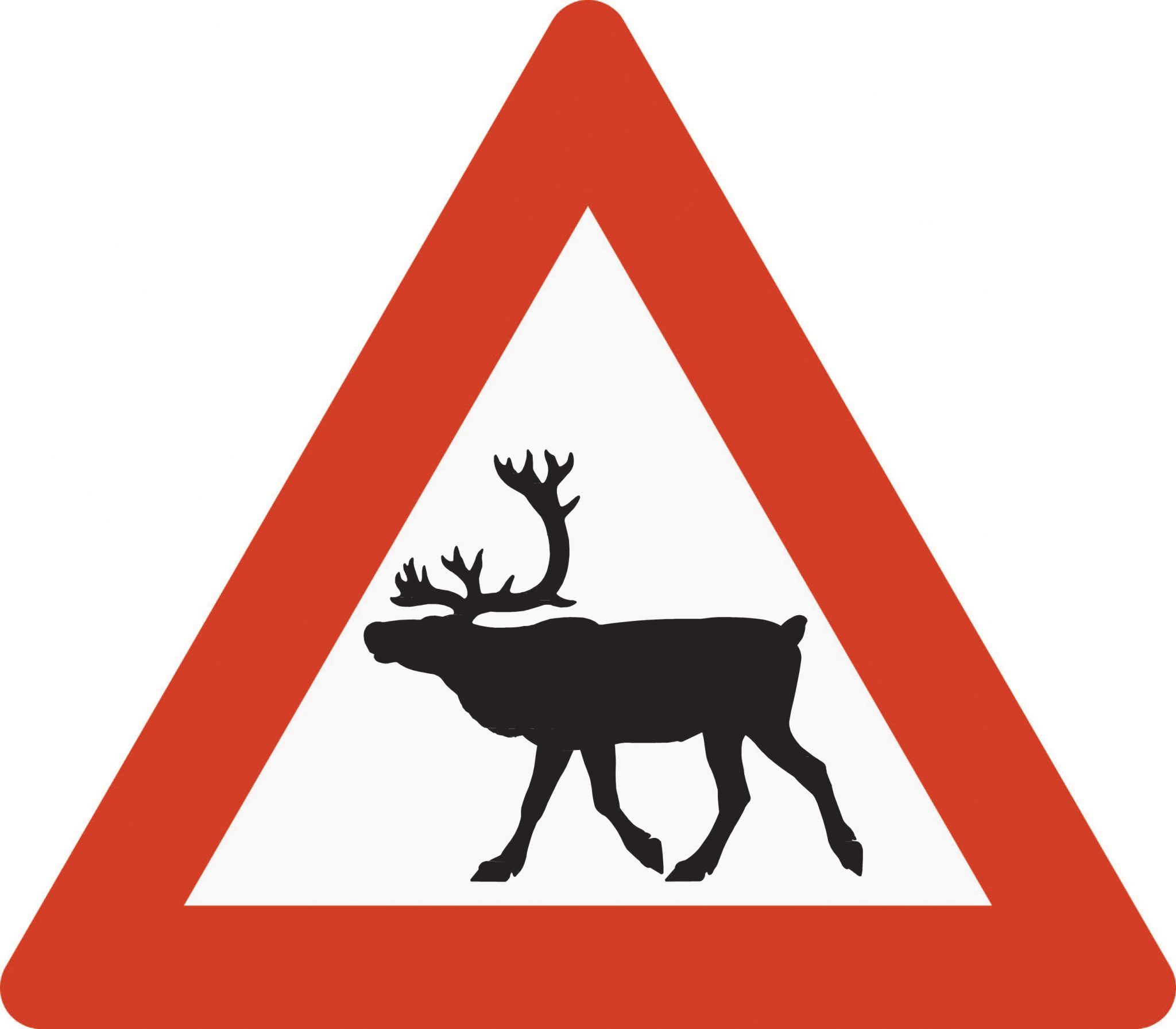 Дорожный знак олень