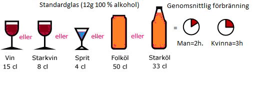 alkohol-i-kroppen (1)